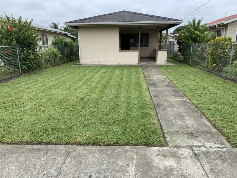 Record photograph taken after the visit: the same lawn mown short and even, with a clean cut edge along the path.